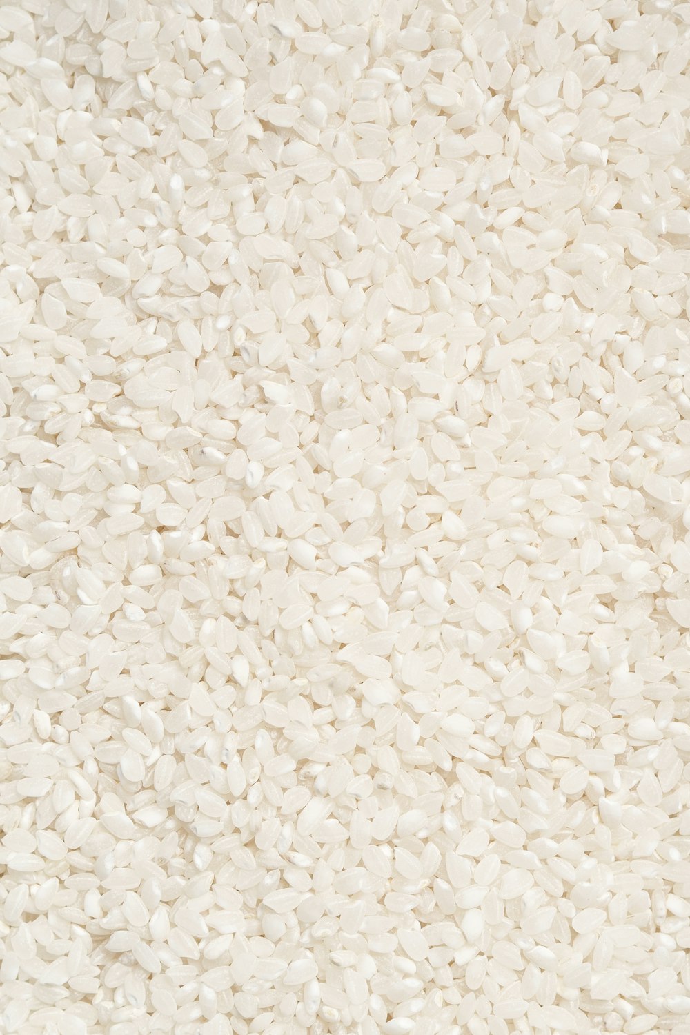 Gao Nhật kích thước hạt gạo ngắn và tròn trịa