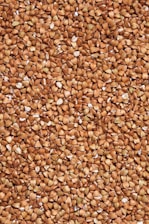 brown and black dried leaves