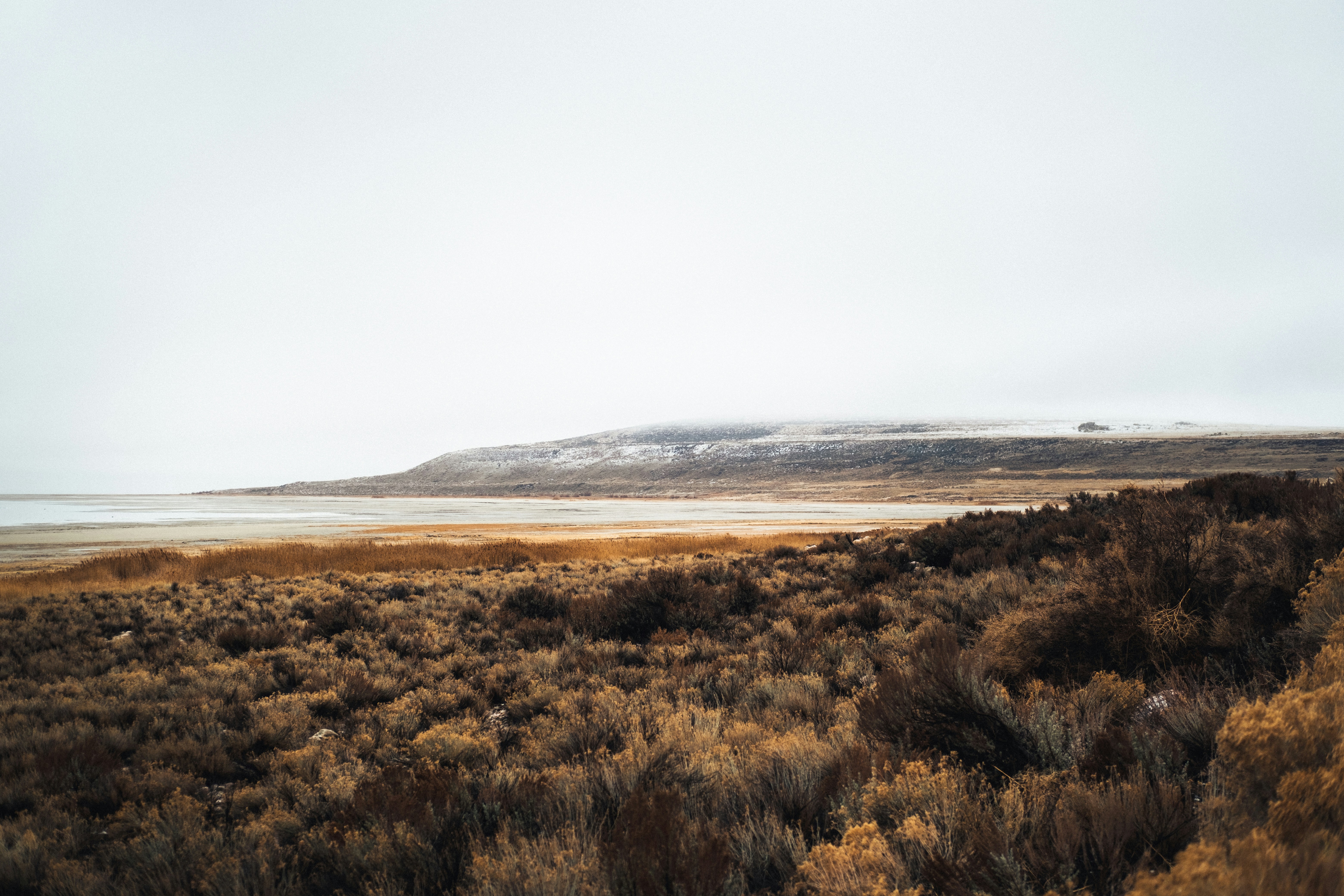 Photo by northernstatemedia