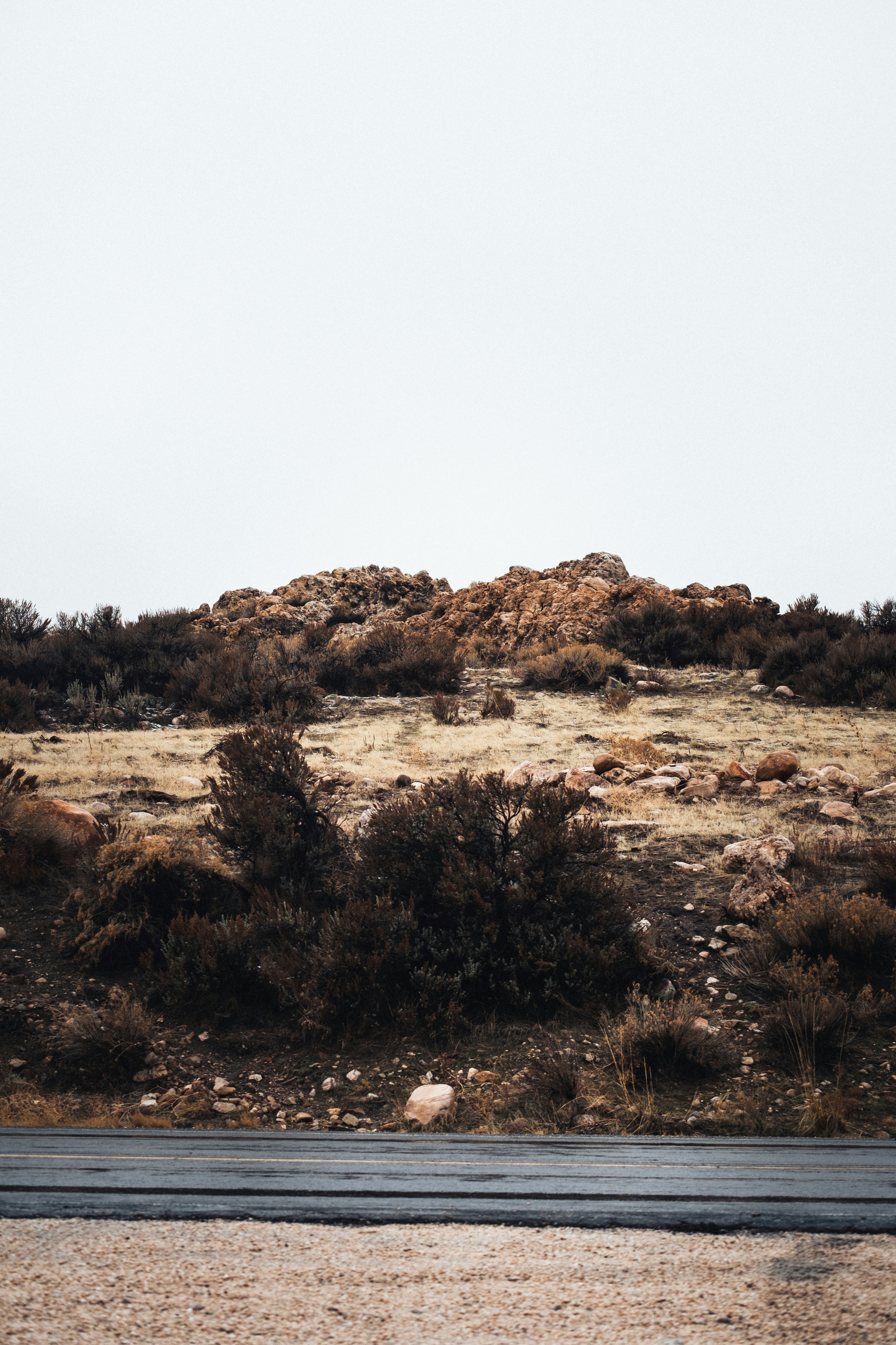 Photo by northernstatemedia