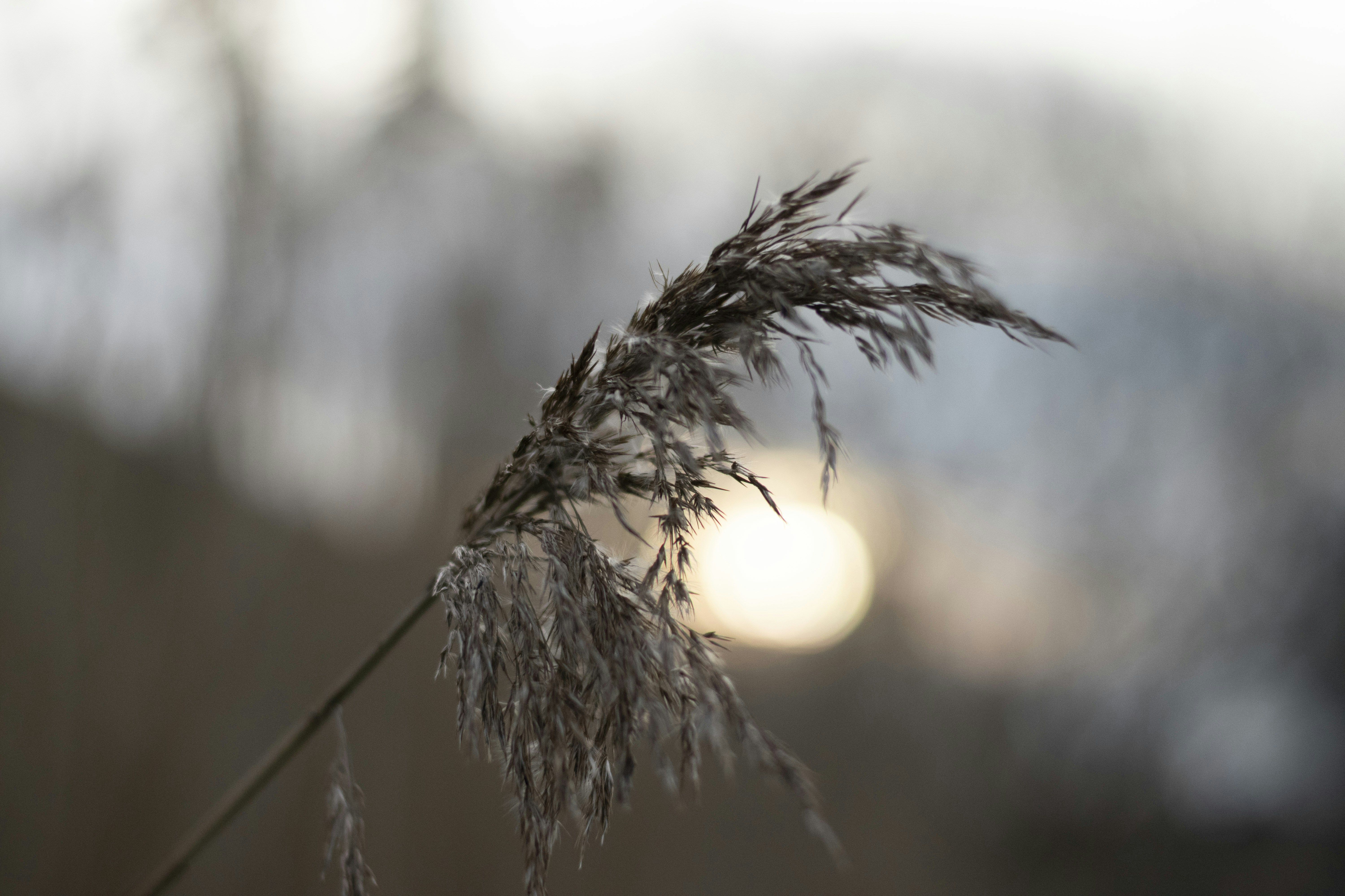 Photo by ricovandevoorde