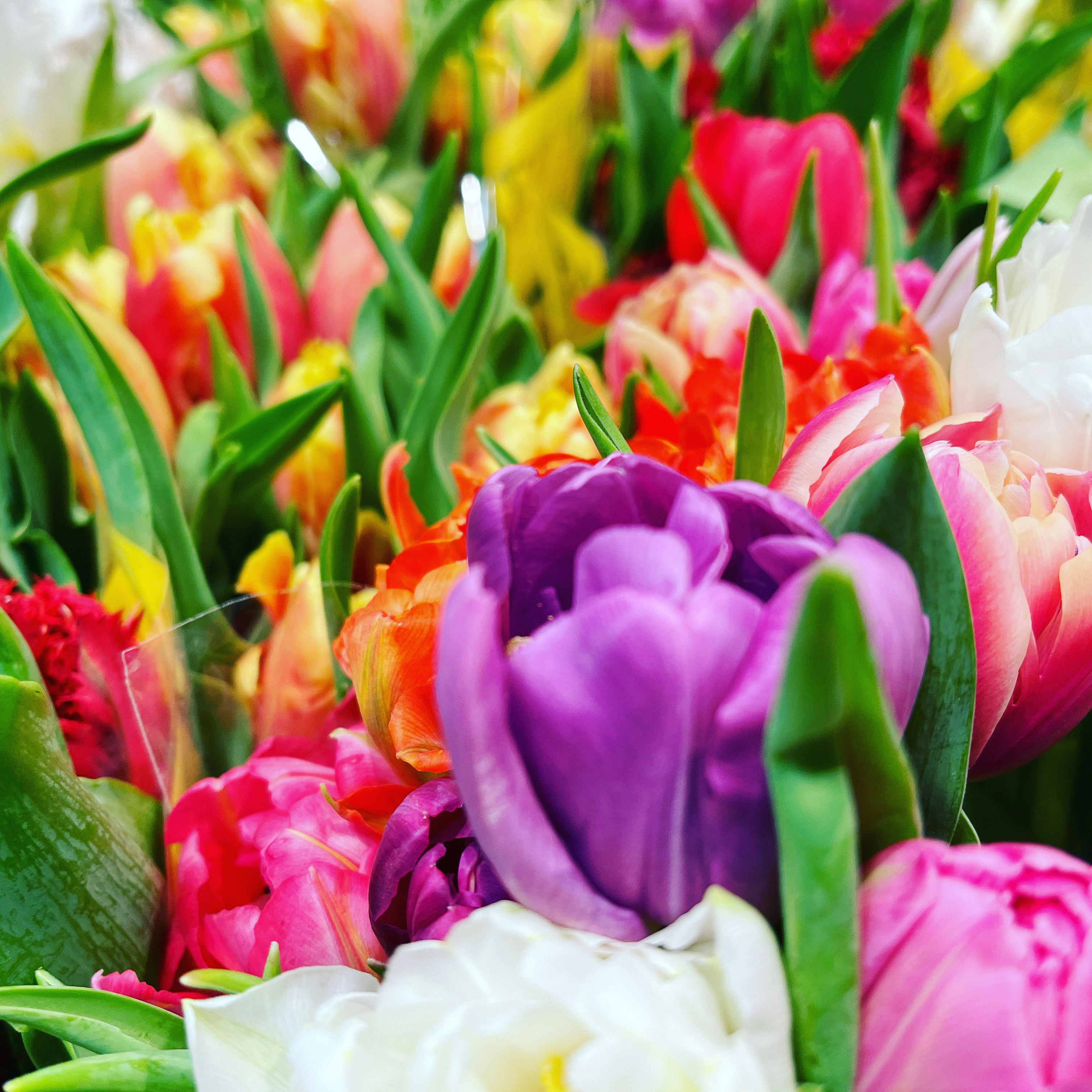 Photo by arnoldstraub