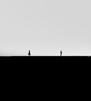 silhouette of 2 person walking on field