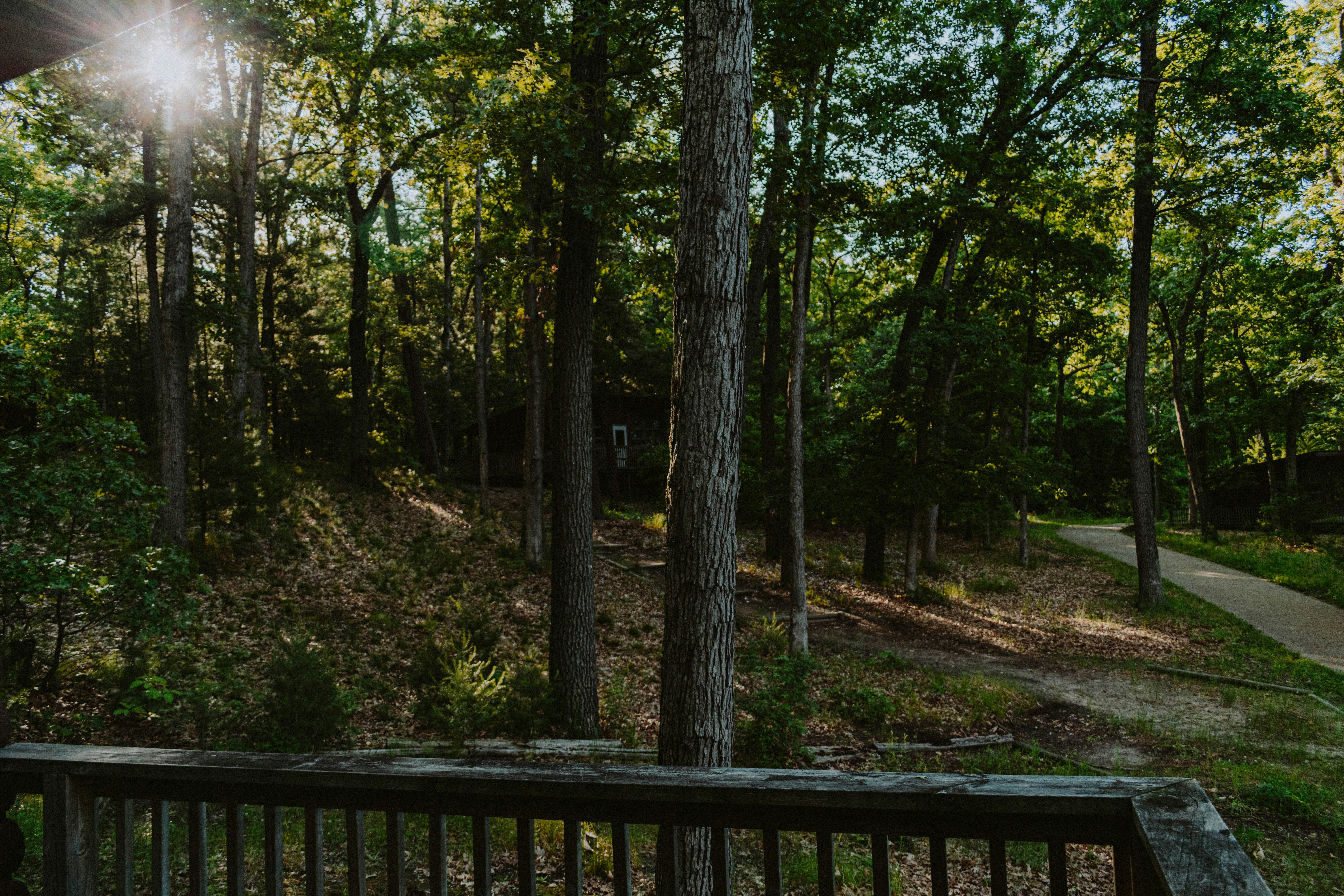 Photo by gabor_veres