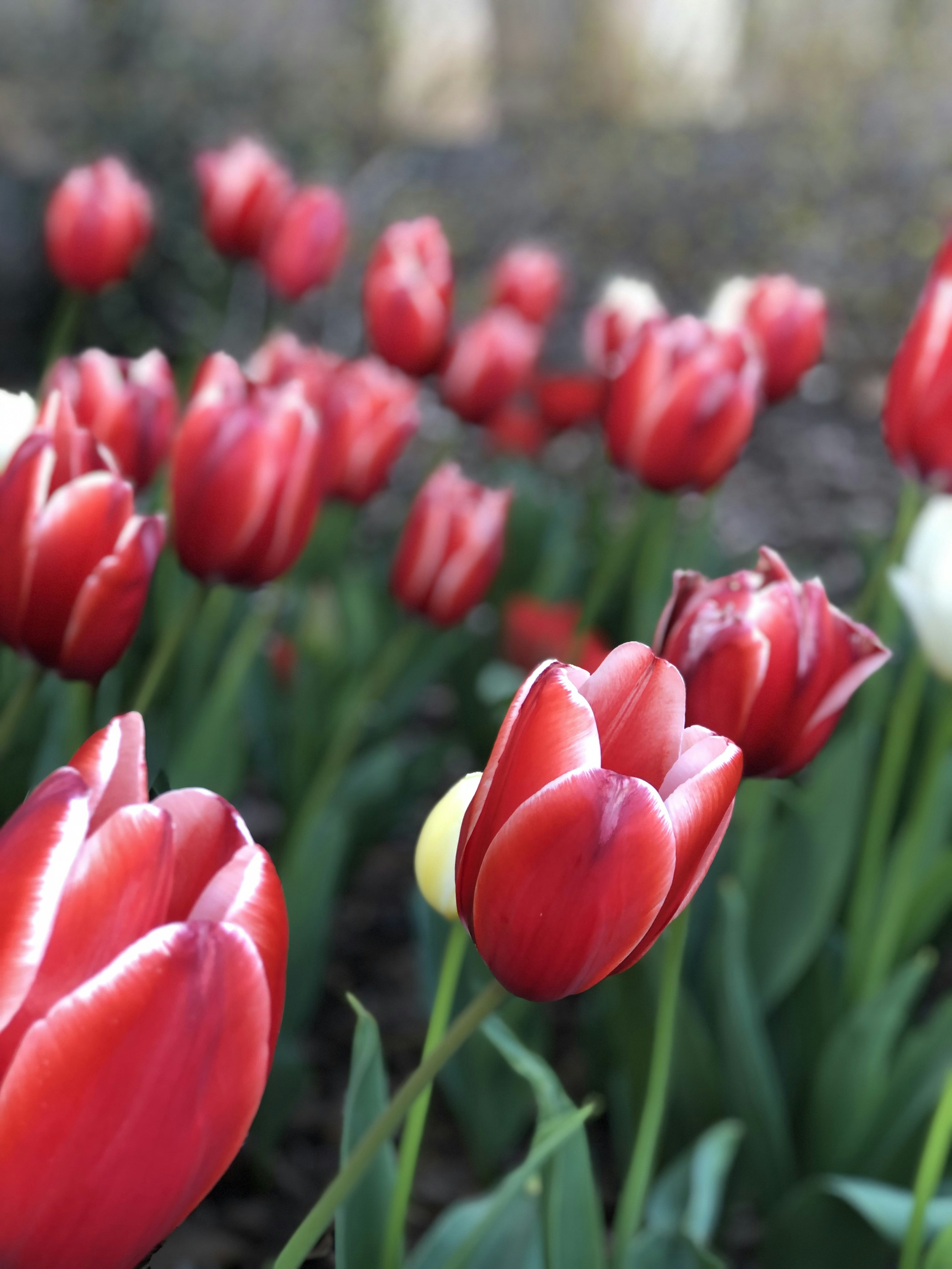 Photo by fineartbybernadett2021