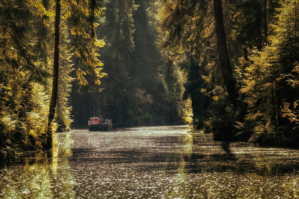 red boat on river between trees during daytime