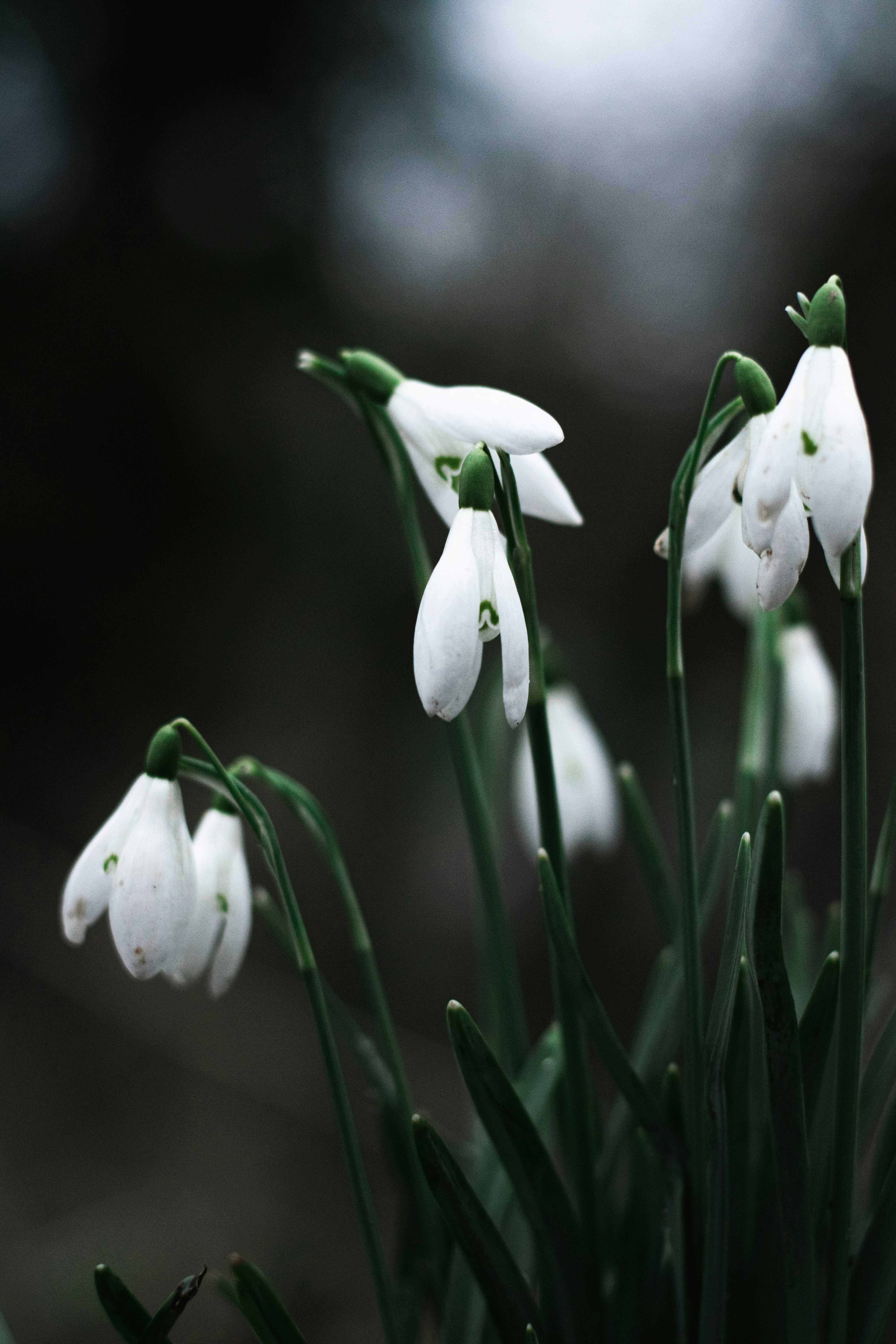 Photo by itsrobcoates