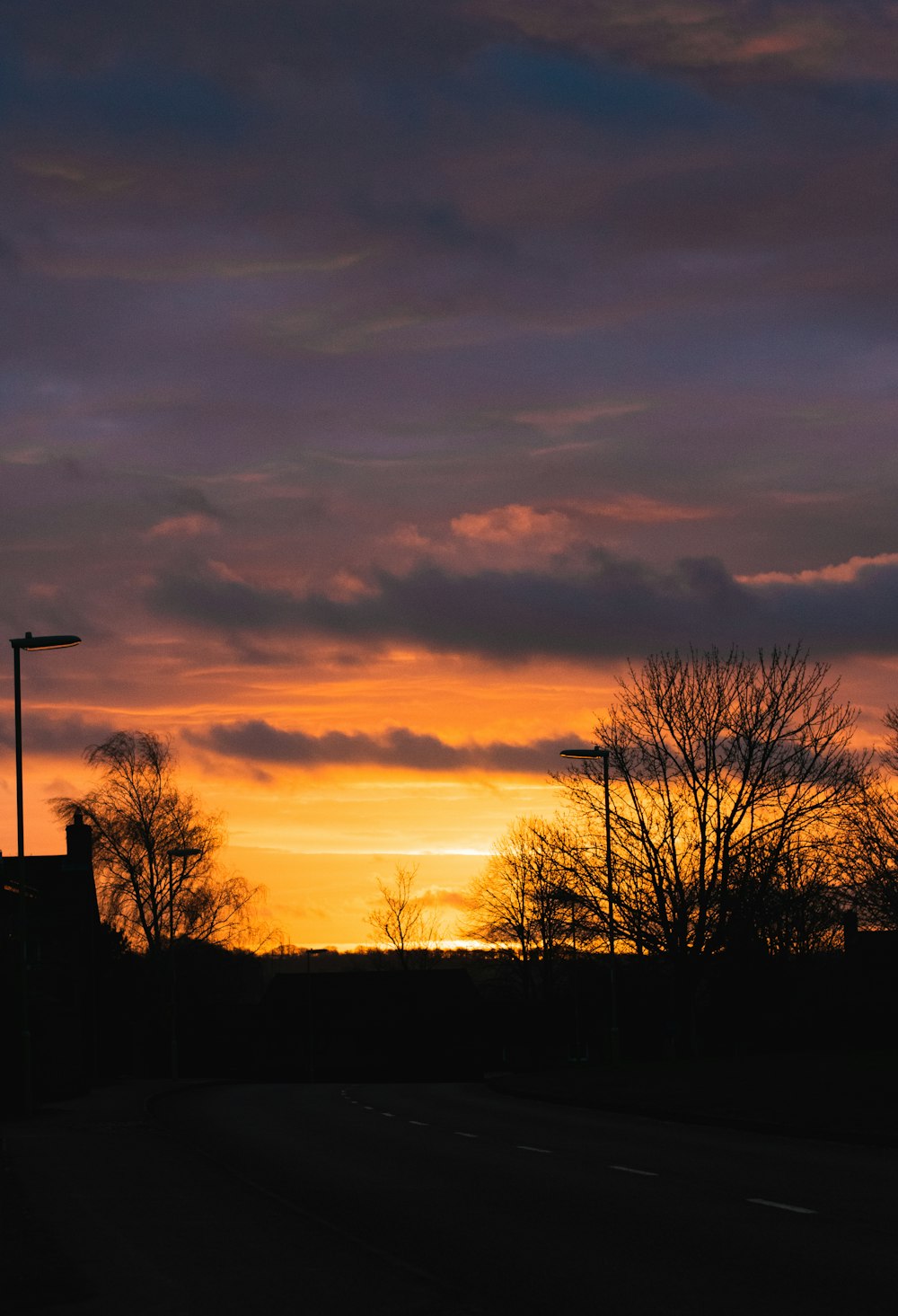 bare trees under cloudy sky during sunset