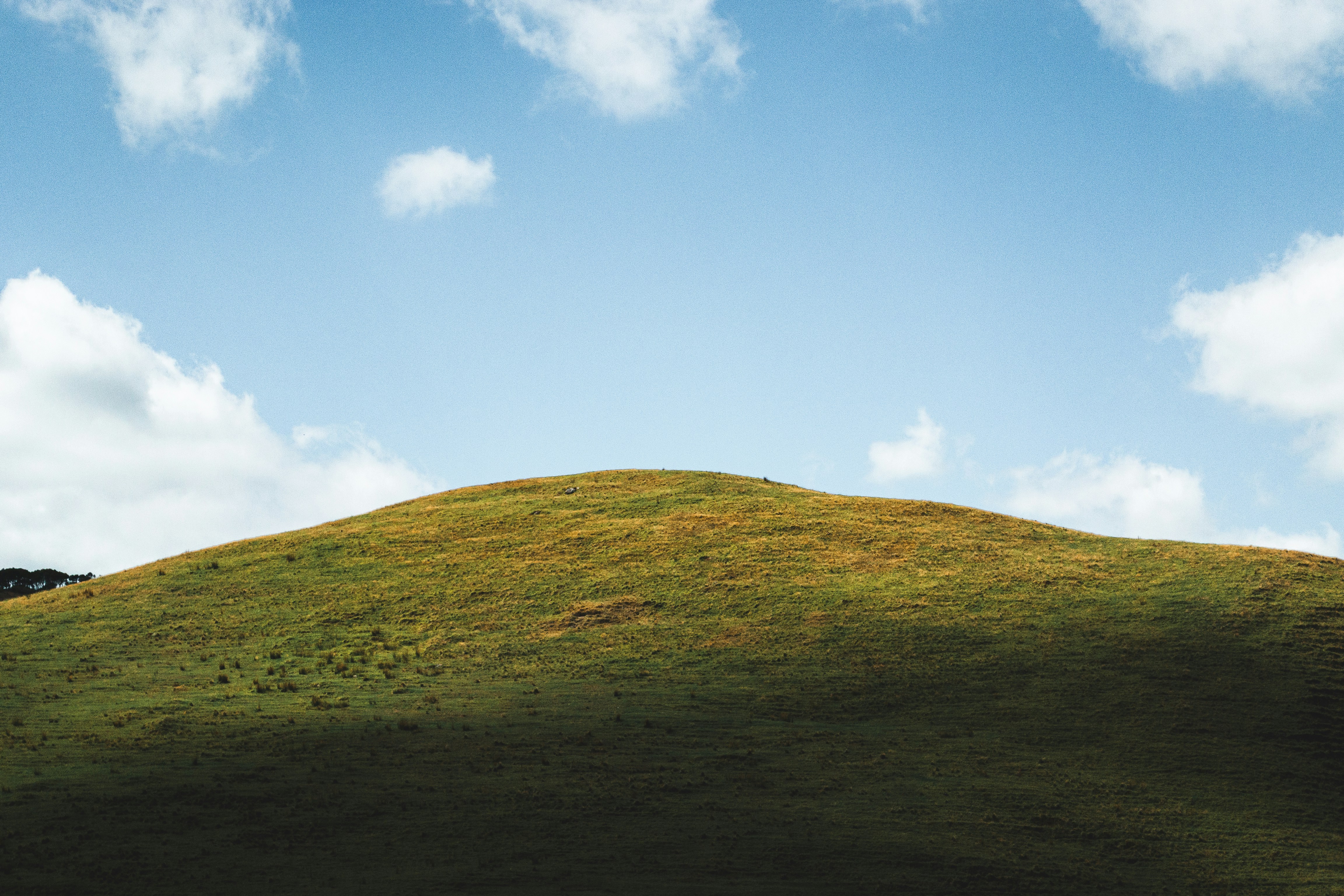 Grüner Berg tagsüber unter blauem Himmel