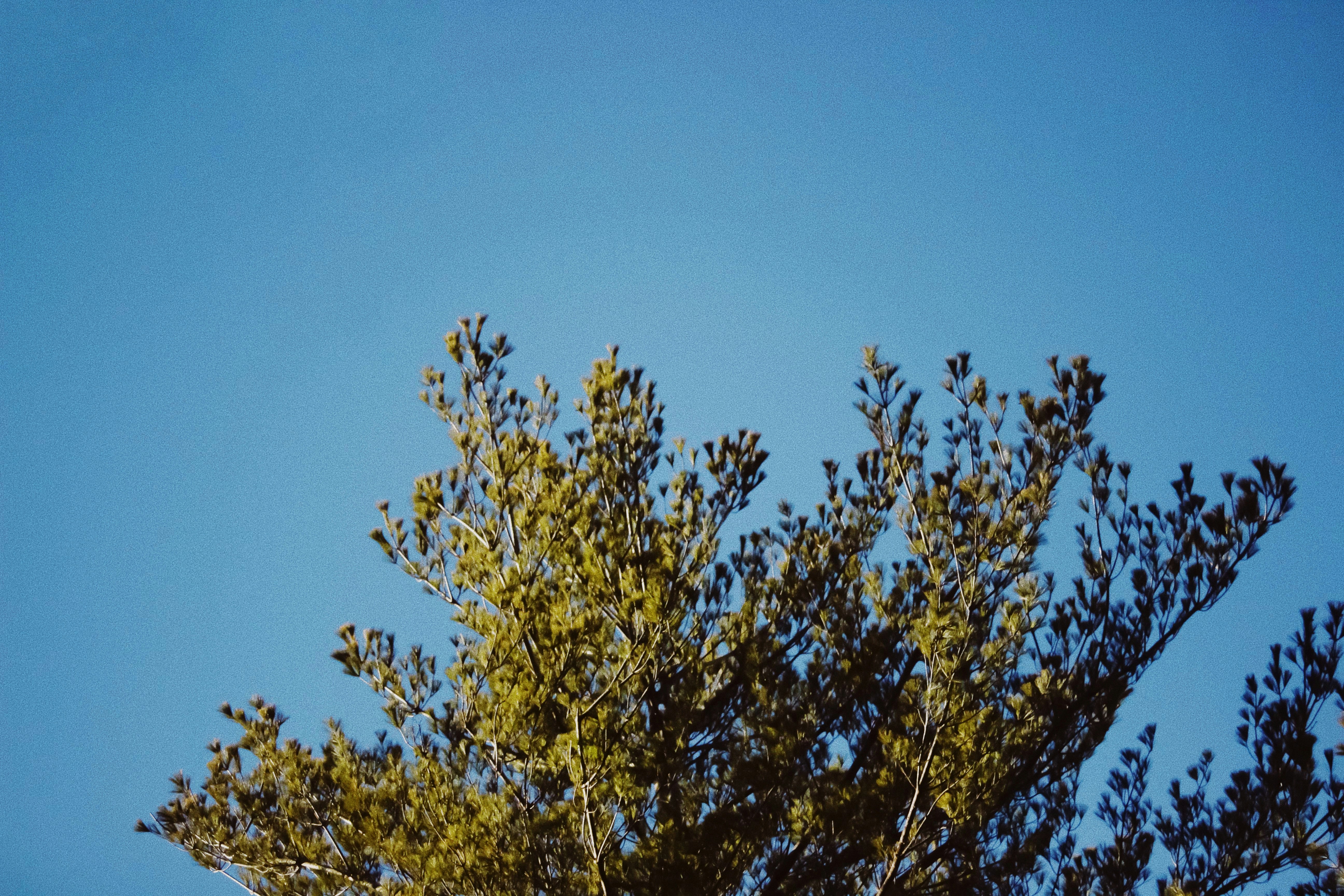 Photo by mariumqureshi_