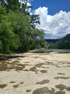 A tranquil riverbed with sparse water flow stretches through a lush, green forested area. The foreground features a dried riverbank with patches of mud and sand, creating a cracked and textured surface. Tall trees line the river, their dense foliage creating a canopy with varying shades of green. In the distance, rugged cliffs rise under a bright, clear sky adorned with fluffy white clouds.