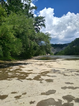 A tranquil riverbed with sparse water flow stretches through a lush, green forested area. The foreground features a dried riverbank with patches of mud and sand, creating a cracked and textured surface. Tall trees line the river, their dense foliage creating a canopy with varying shades of green. In the distance, rugged cliffs rise under a bright, clear sky adorned with fluffy white clouds.