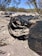 A worn and damaged tire lies on a dry, rocky landscape surrounded by sparse desert vegetation. The tire appears to be shredded and discarded amidst the arid terrain with a clear blue sky visible in the background.