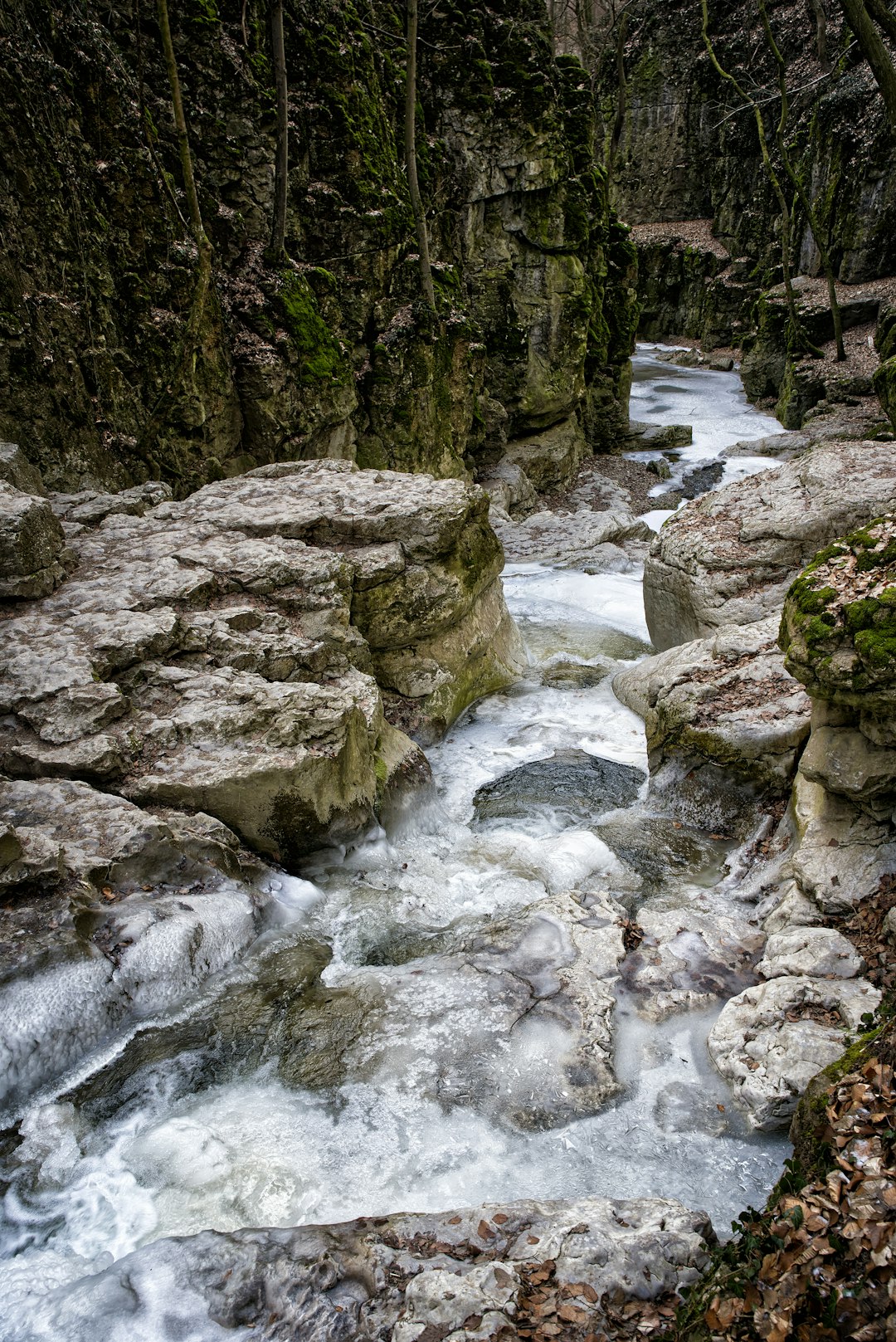 Natural landscape photo spot Bakonyn谩na Zánka