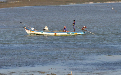 A small group on a private fishing tour, smiling with their fresh catch on a calm sea.