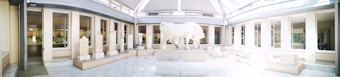 A museum gallery with a central statue of a large white animal, possibly a bull or a buffalo, displayed on a pedestal. There are several other sculptures along the walls, all exhibited in a bright, well-lit room with large windows and skylights that allow natural light to flood in.