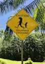 yellow and black road sign