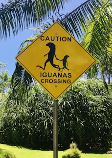yellow and black road sign