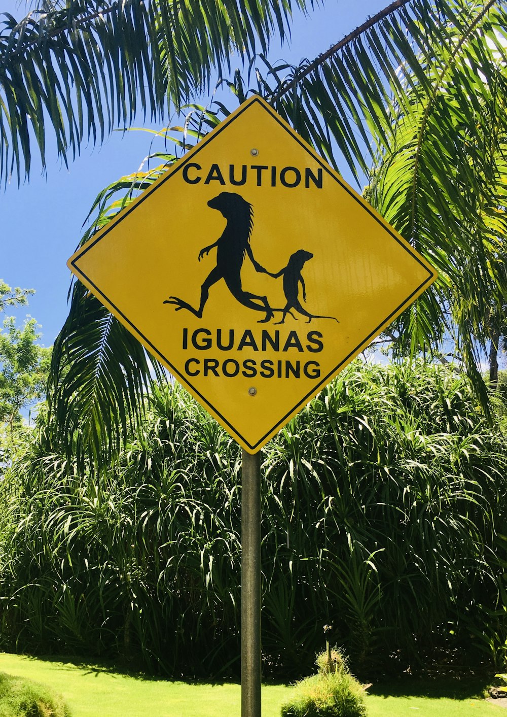 yellow and black road sign