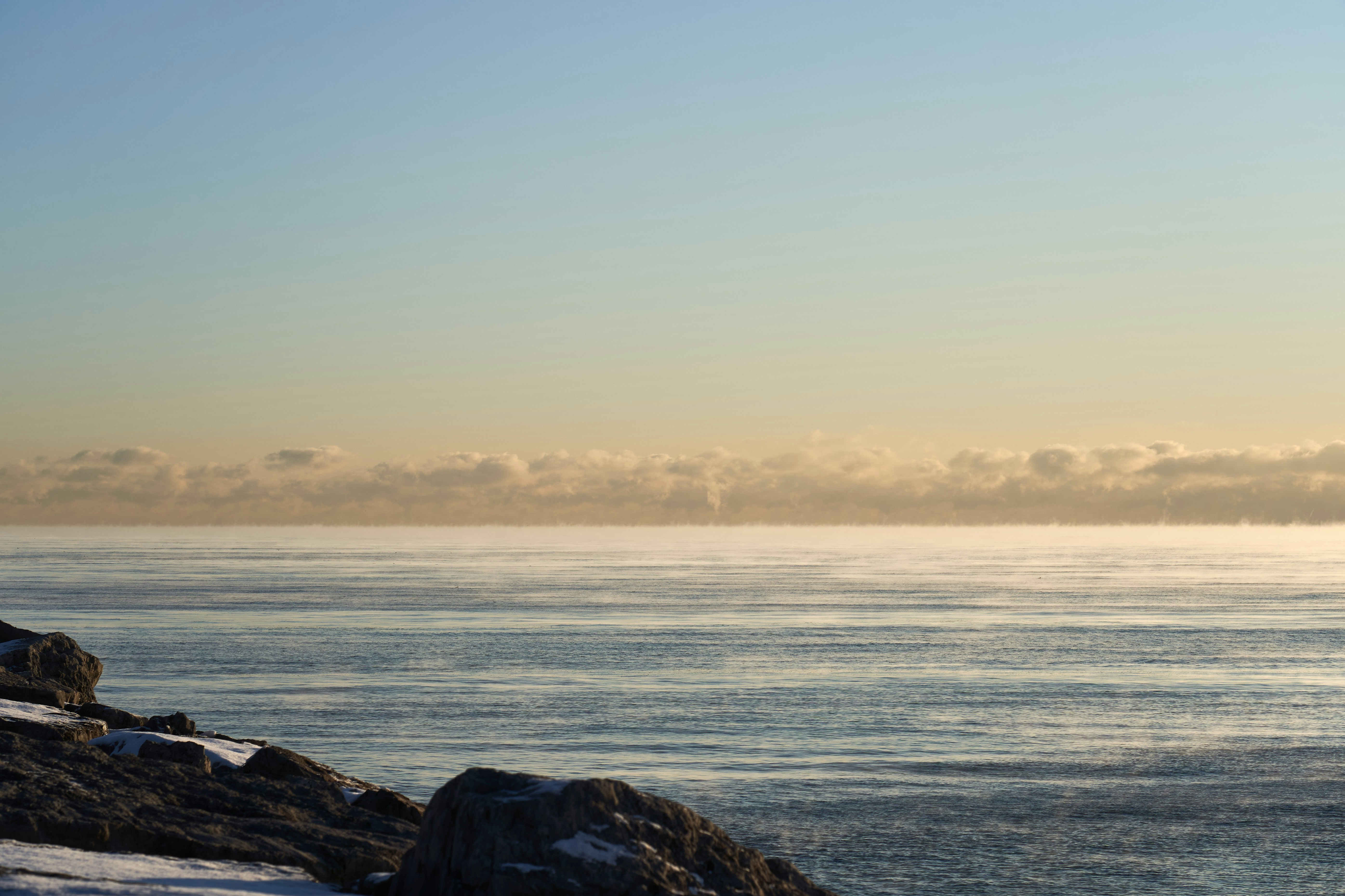 Photo by wolfgang_hasselmann