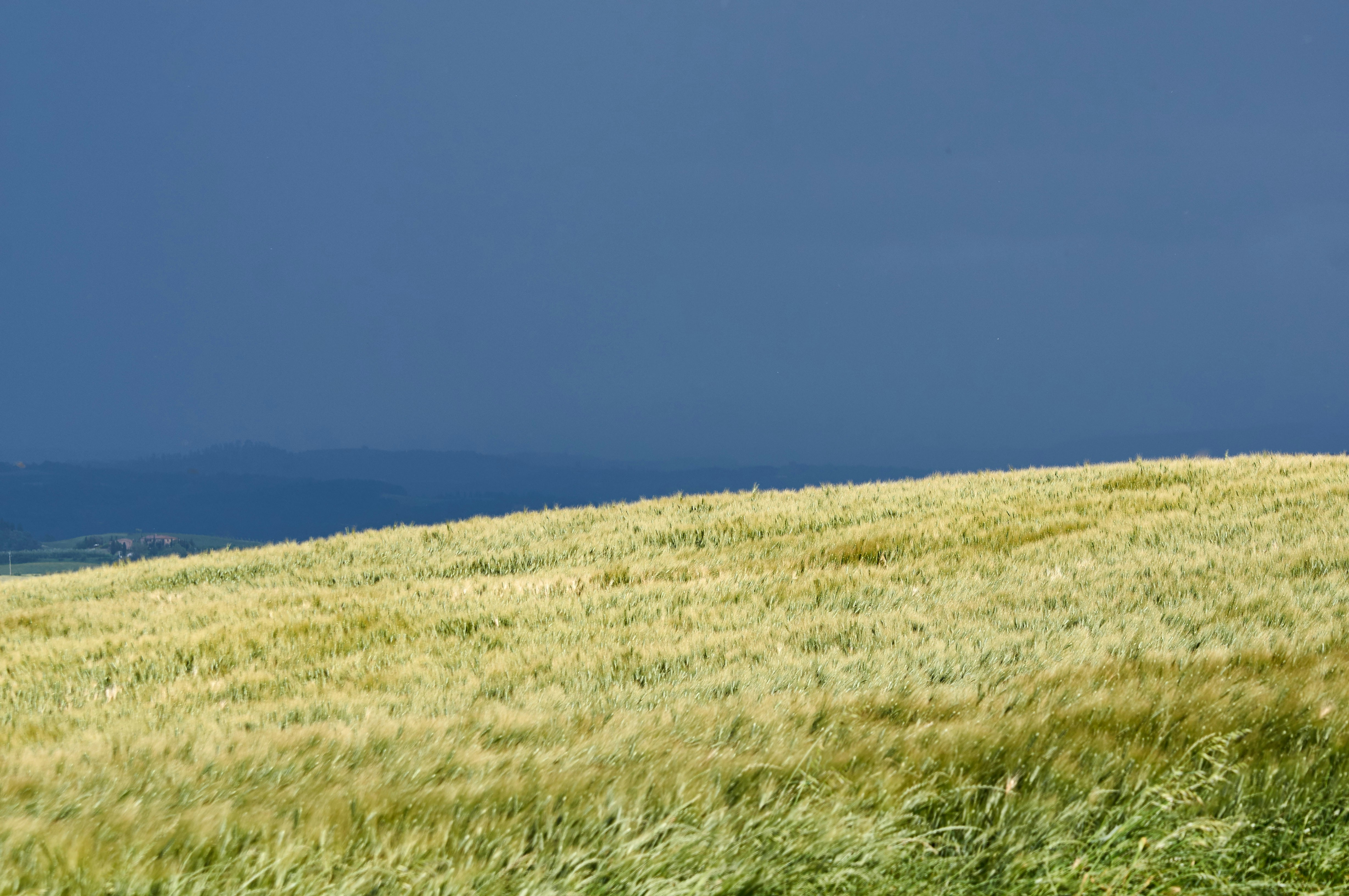 Photo by wolfgang_hasselmann