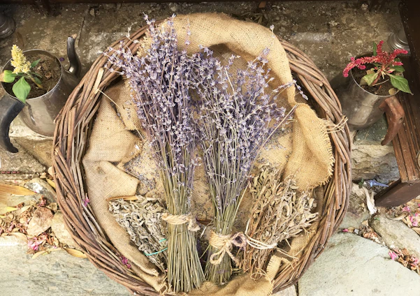 A rustic wooden basket filled with fresh lavender, chamomile, and rose petals from a local farm.
