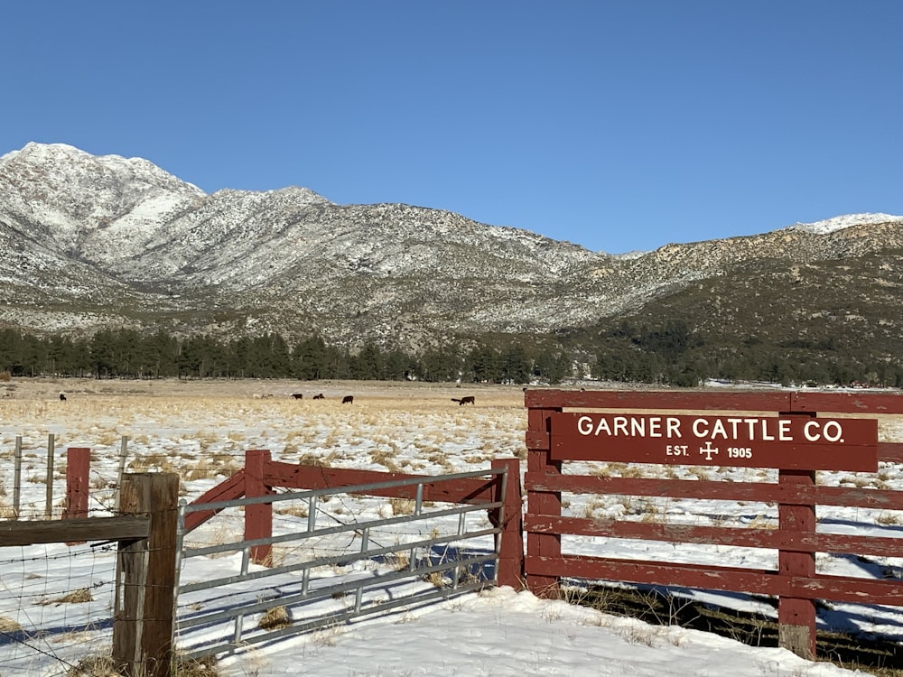 brown wooden fence near green grass field and mountain under blue sky during daytime