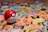 red and white ladybug toy on white and yellow book