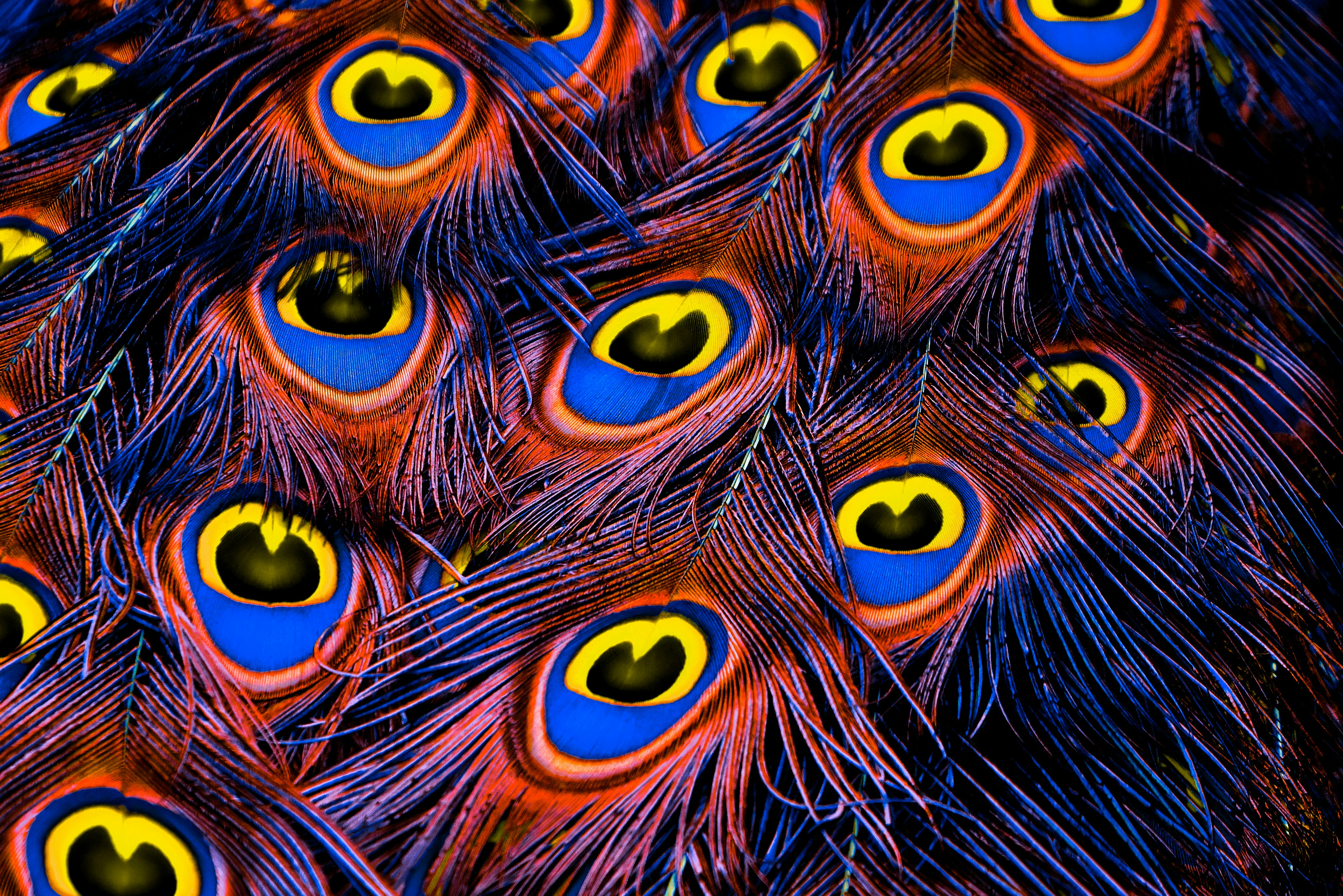 Tampilan semarak dari mata anime yang penuh warna dan ajaib