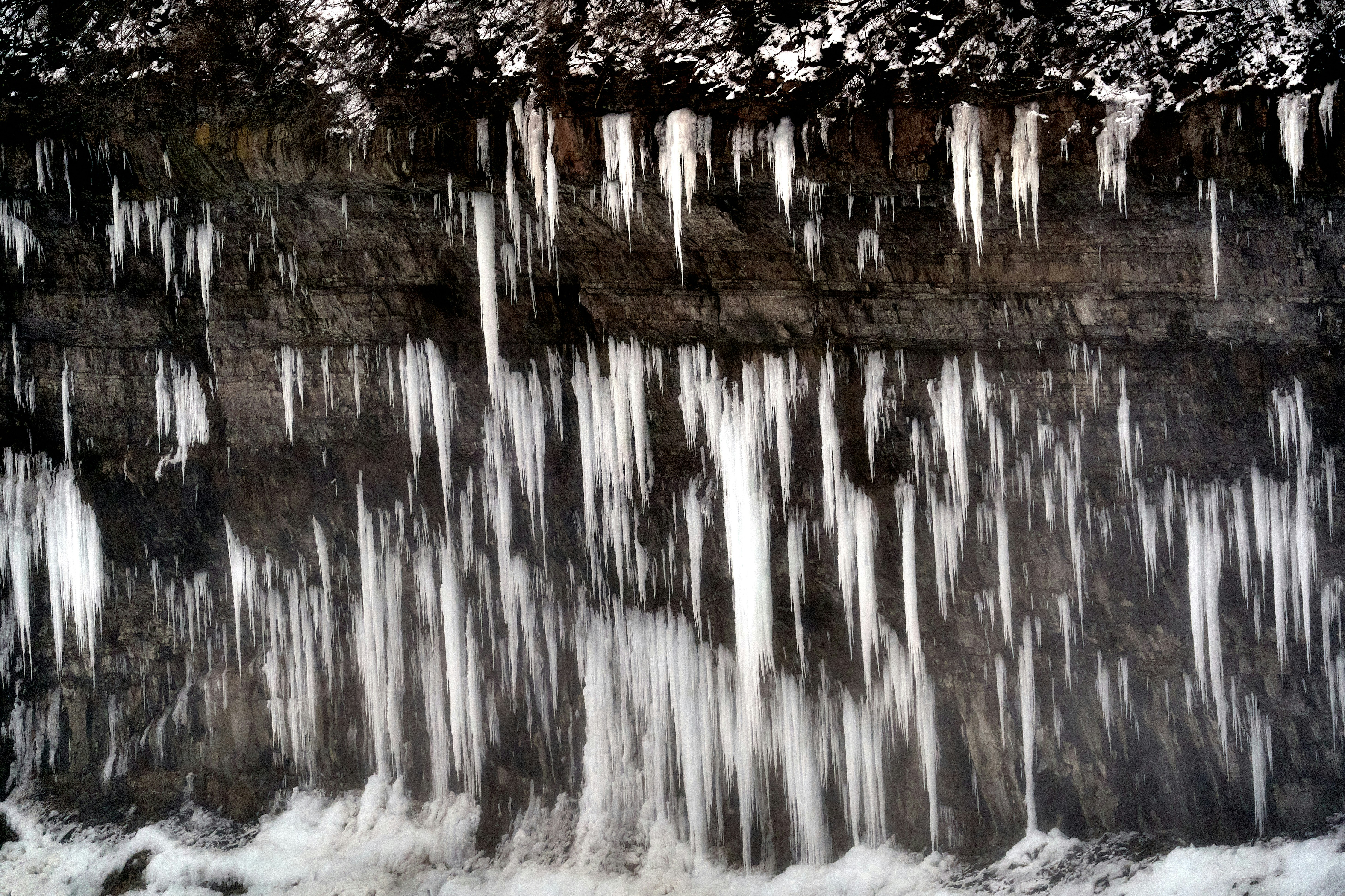 Photo by wolfgang_hasselmann