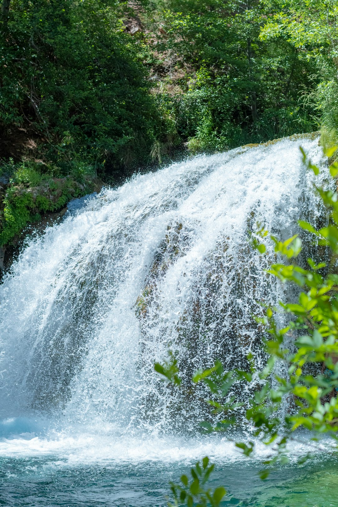 water falls in the middle of green plants