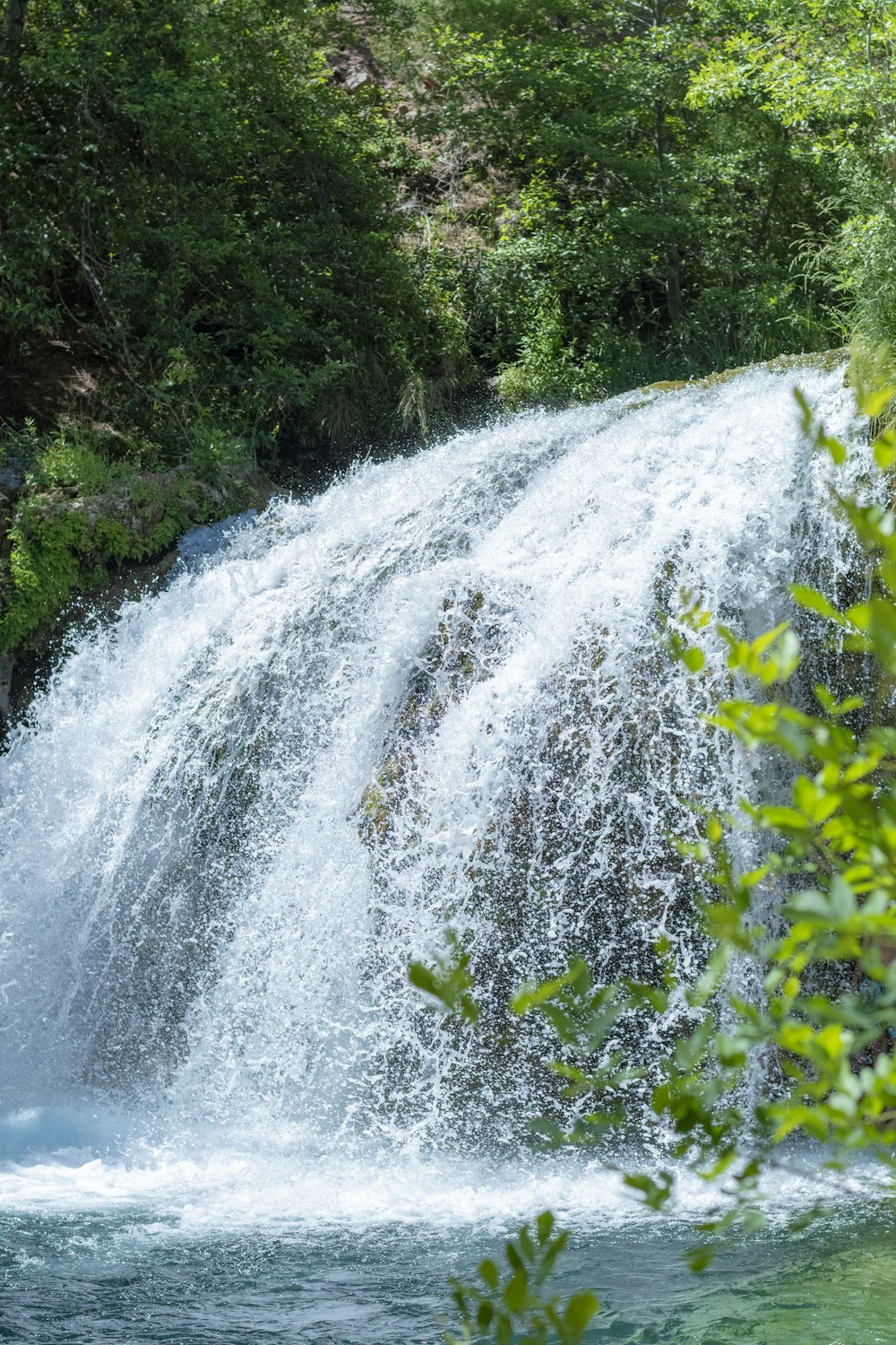 water falls in the middle of green plants