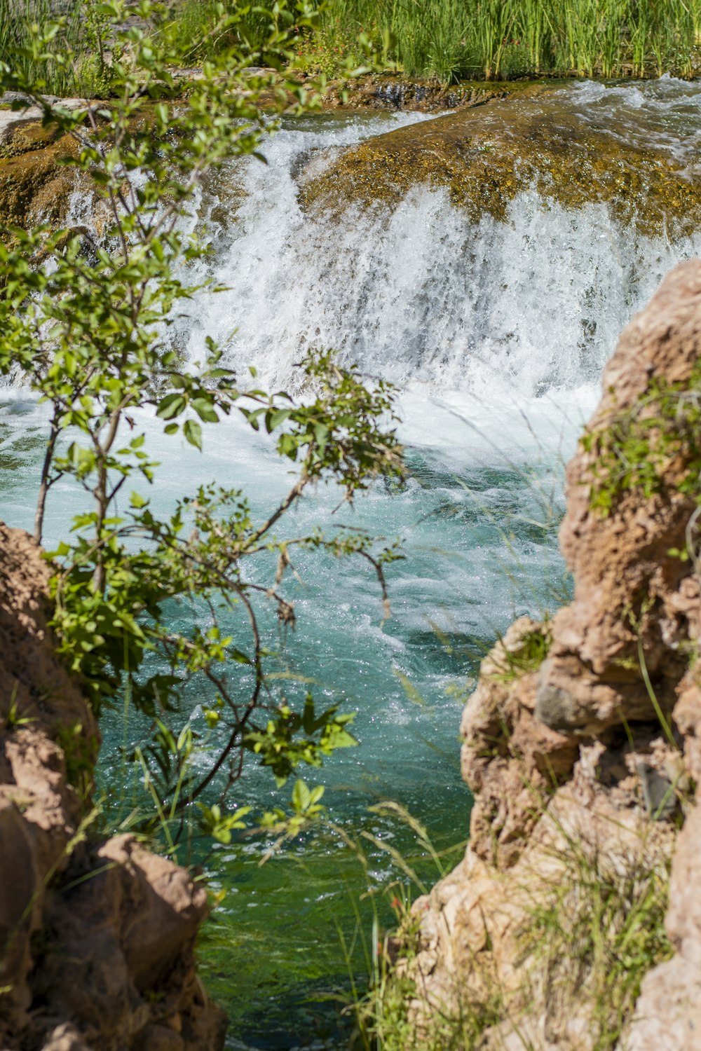 green plants on brown rock formation near water falls during daytime