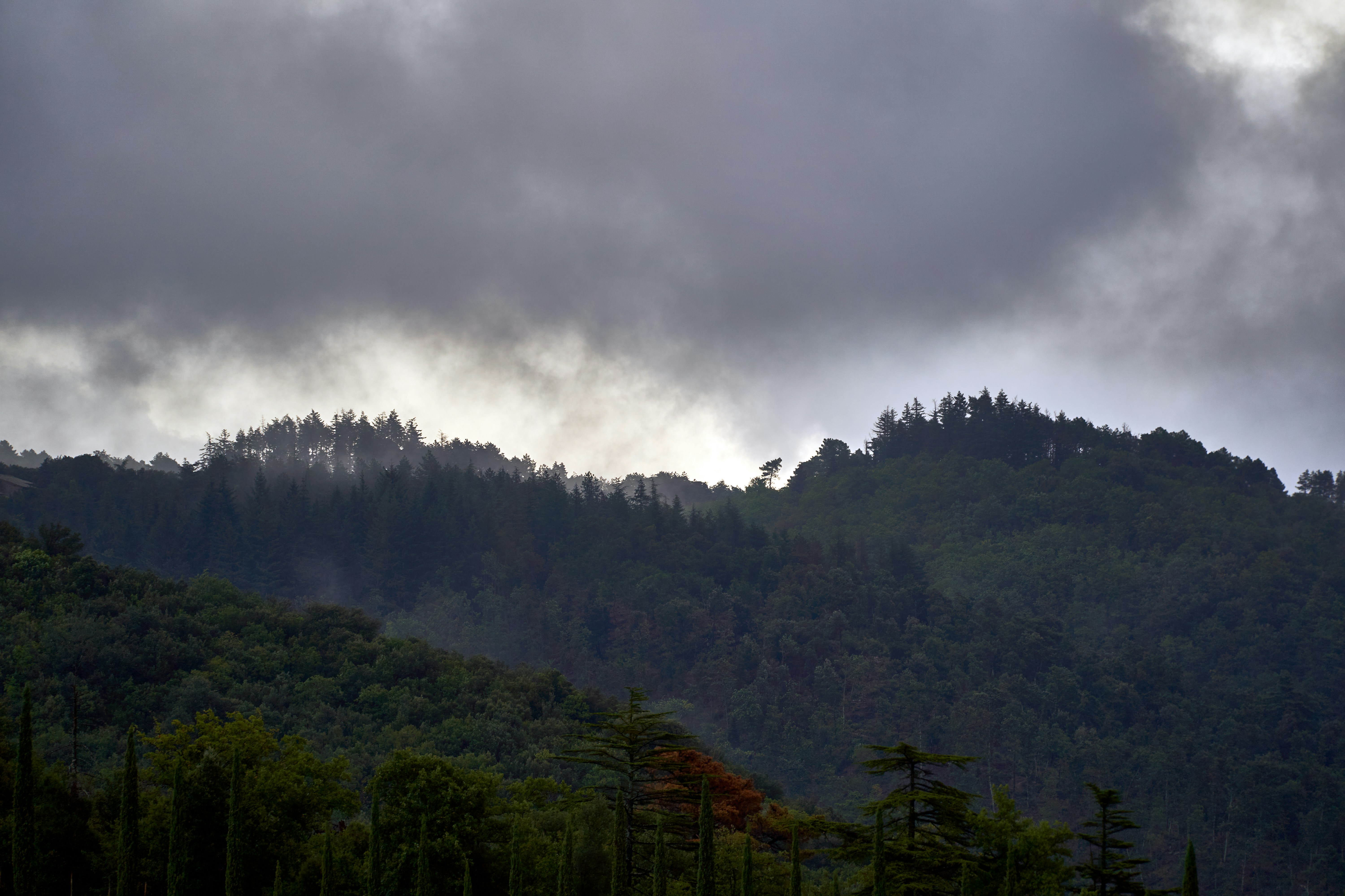 Photo by wolfgang_hasselmann