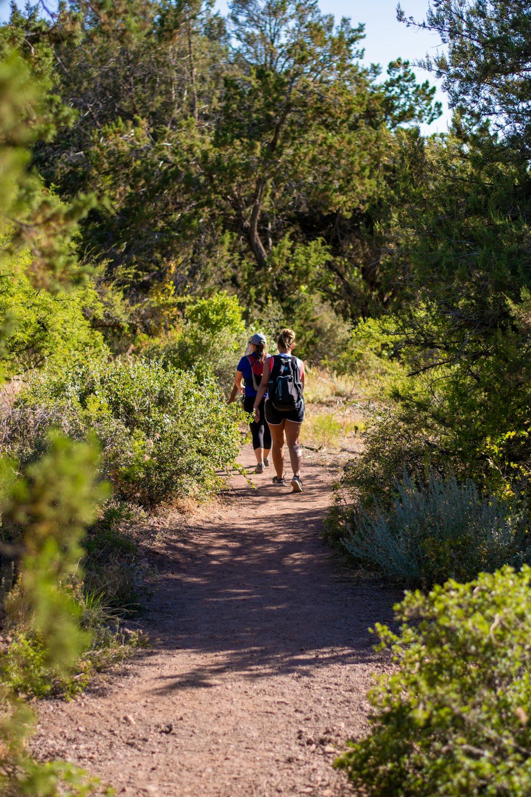 2 men walking on pathway between green grass and trees during daytime