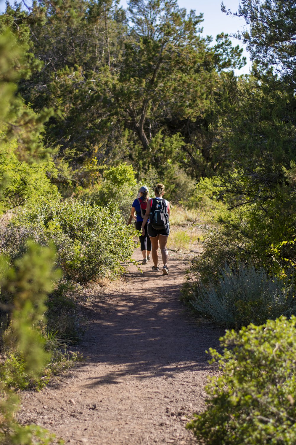 2 men walking on pathway between green grass and trees during daytime