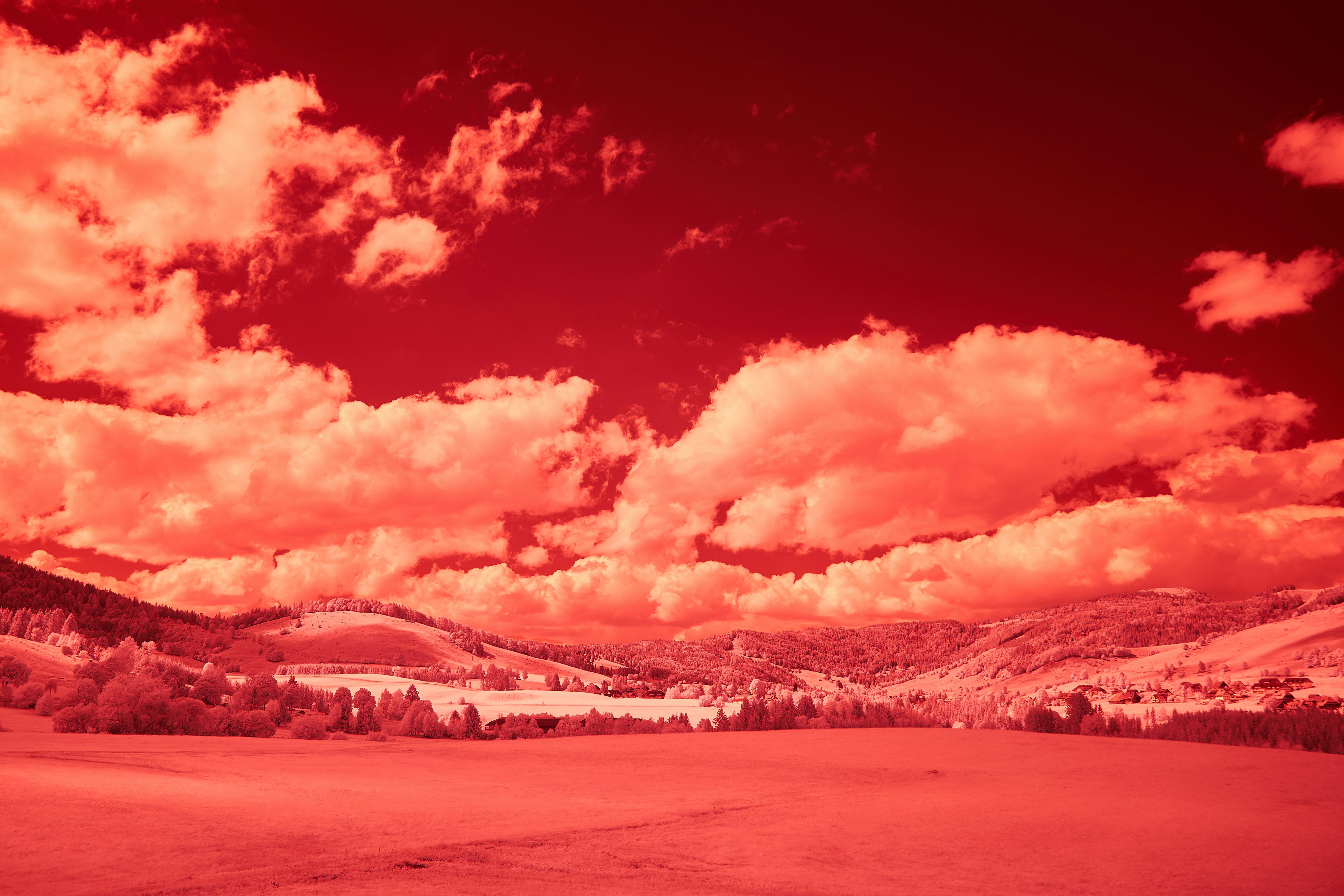 Photo by wolfgang_hasselmann