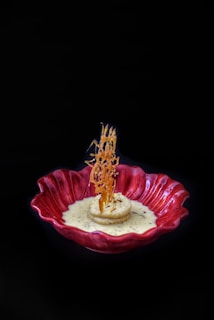 A beautifully styled dessert is presented in a red, scalloped-edge bowl. The dessert includes a round pastry topped with a delicate, crispy garnish, all sitting in a creamy sauce with visible vanilla seeds. The background is black, emphasizing the vibrant colors of the dish.