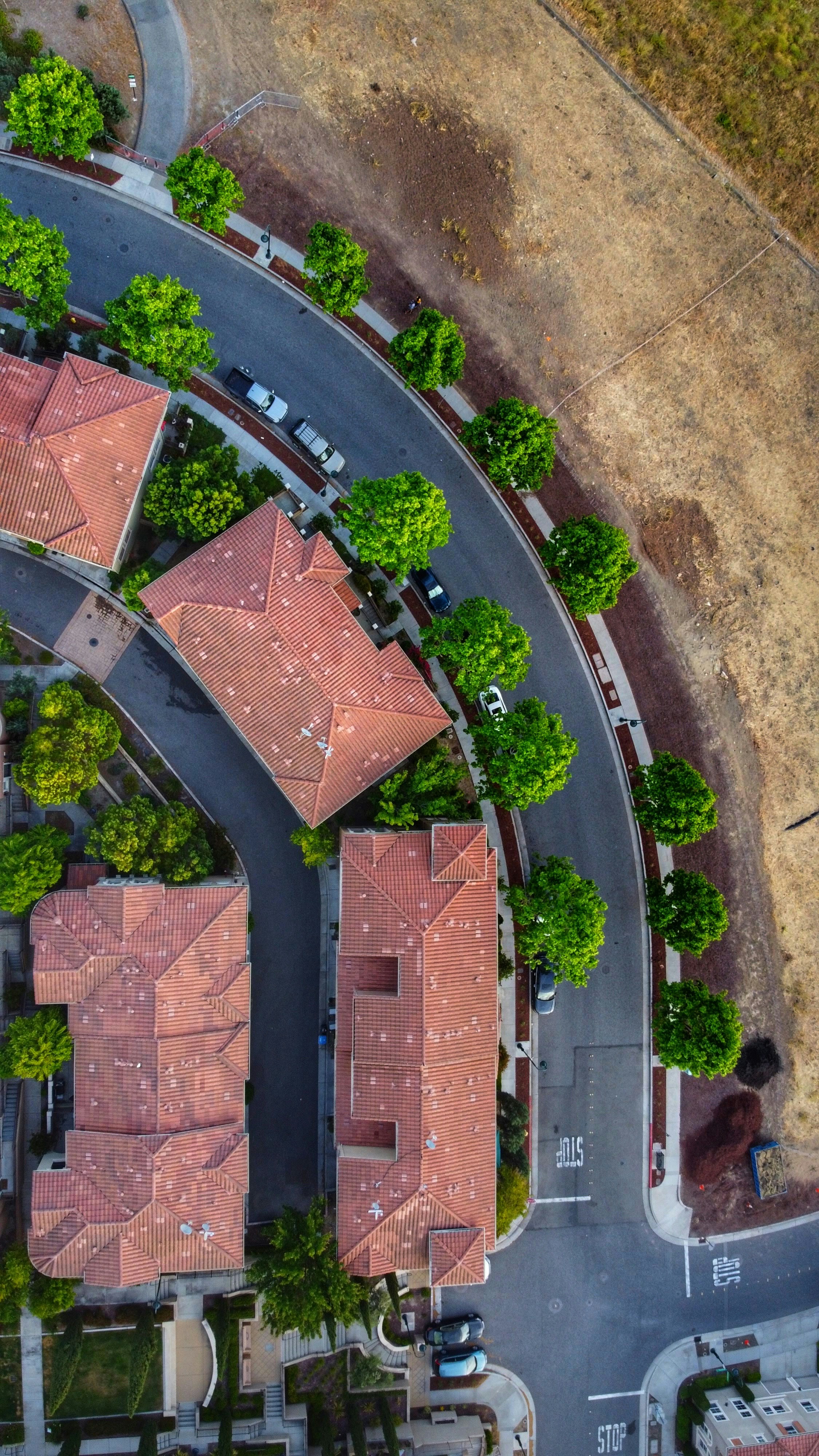 Photo by tejaschaphalkar