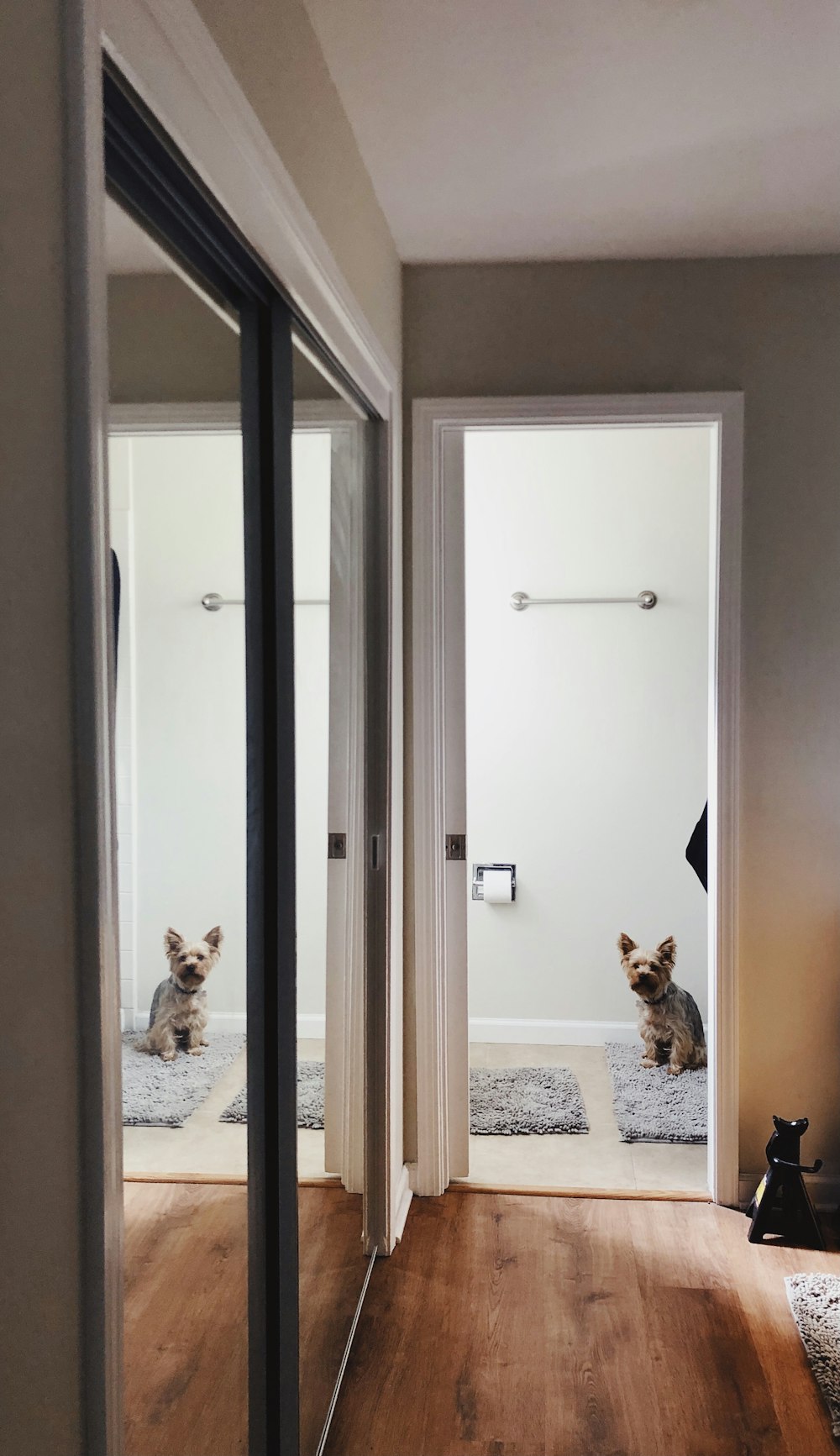 white wooden door with glass panel