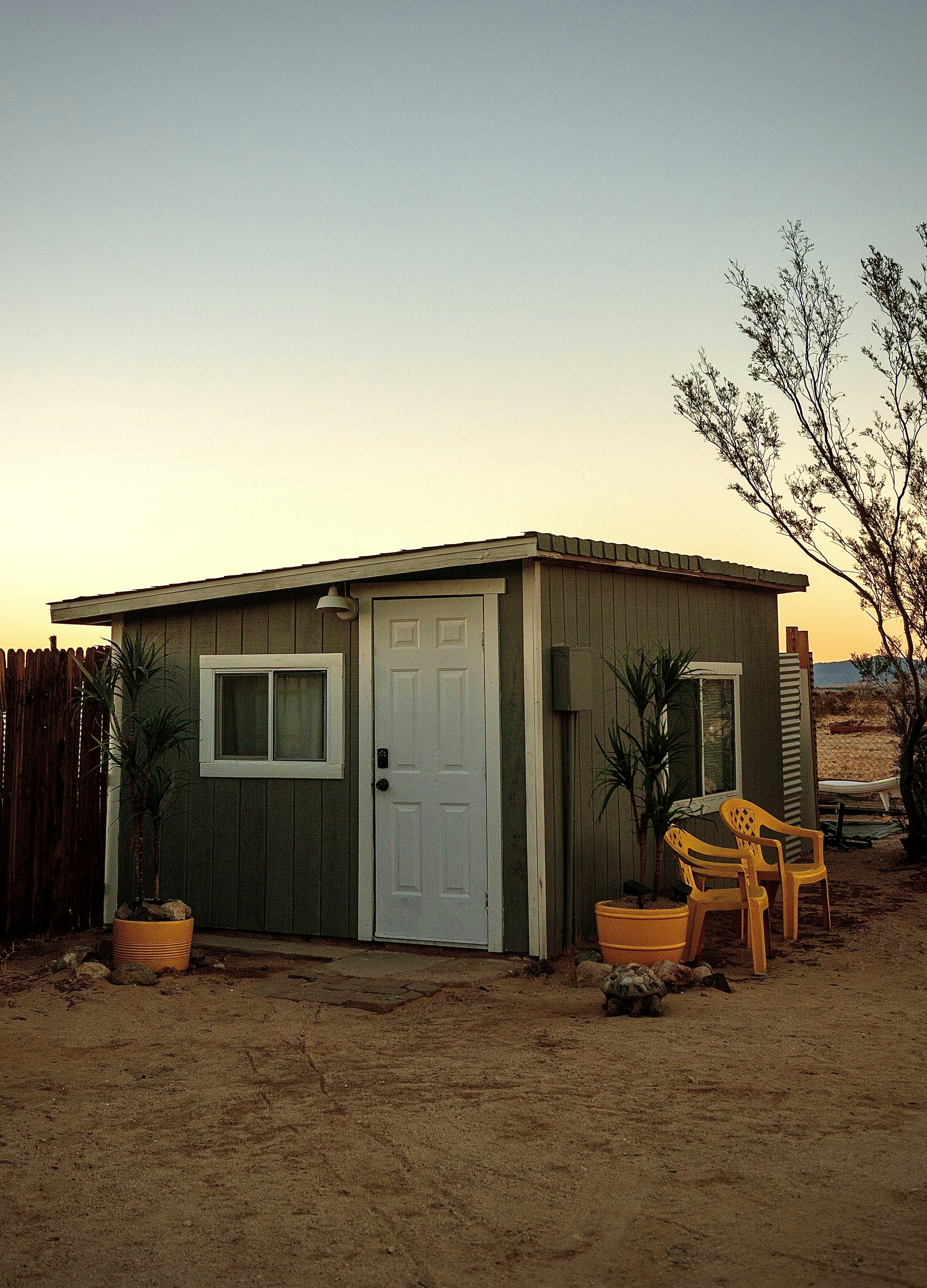 white wooden house near bare tree during daytime