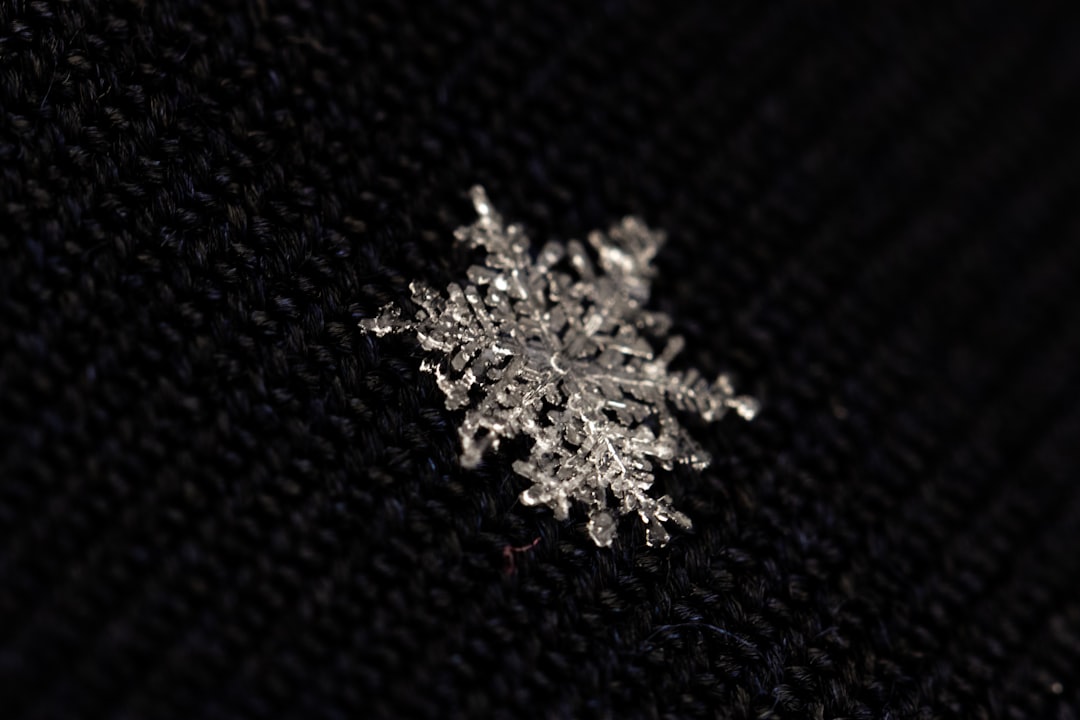 Learning Similarities and Differences Through the Unique Pattern of Snowflakes