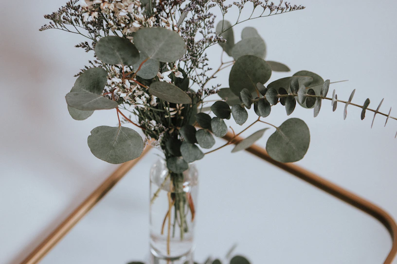A minimalist bridal bouquet with white roses and eucalyptus leaves on a clean white background.
