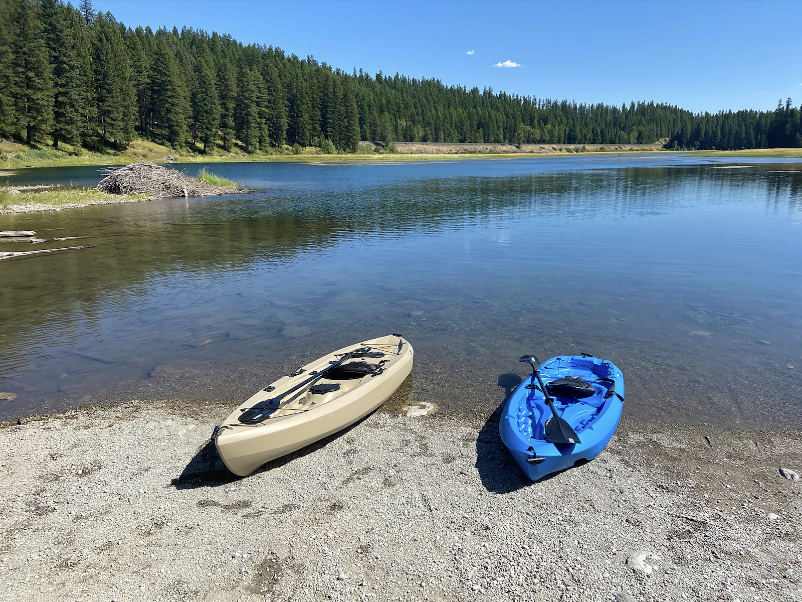 Blue and white kayaks on a lake surrounded by forest