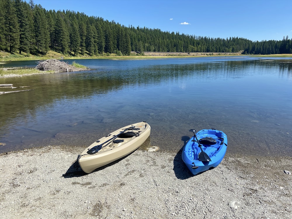 blue and white kayak on lake during daytime