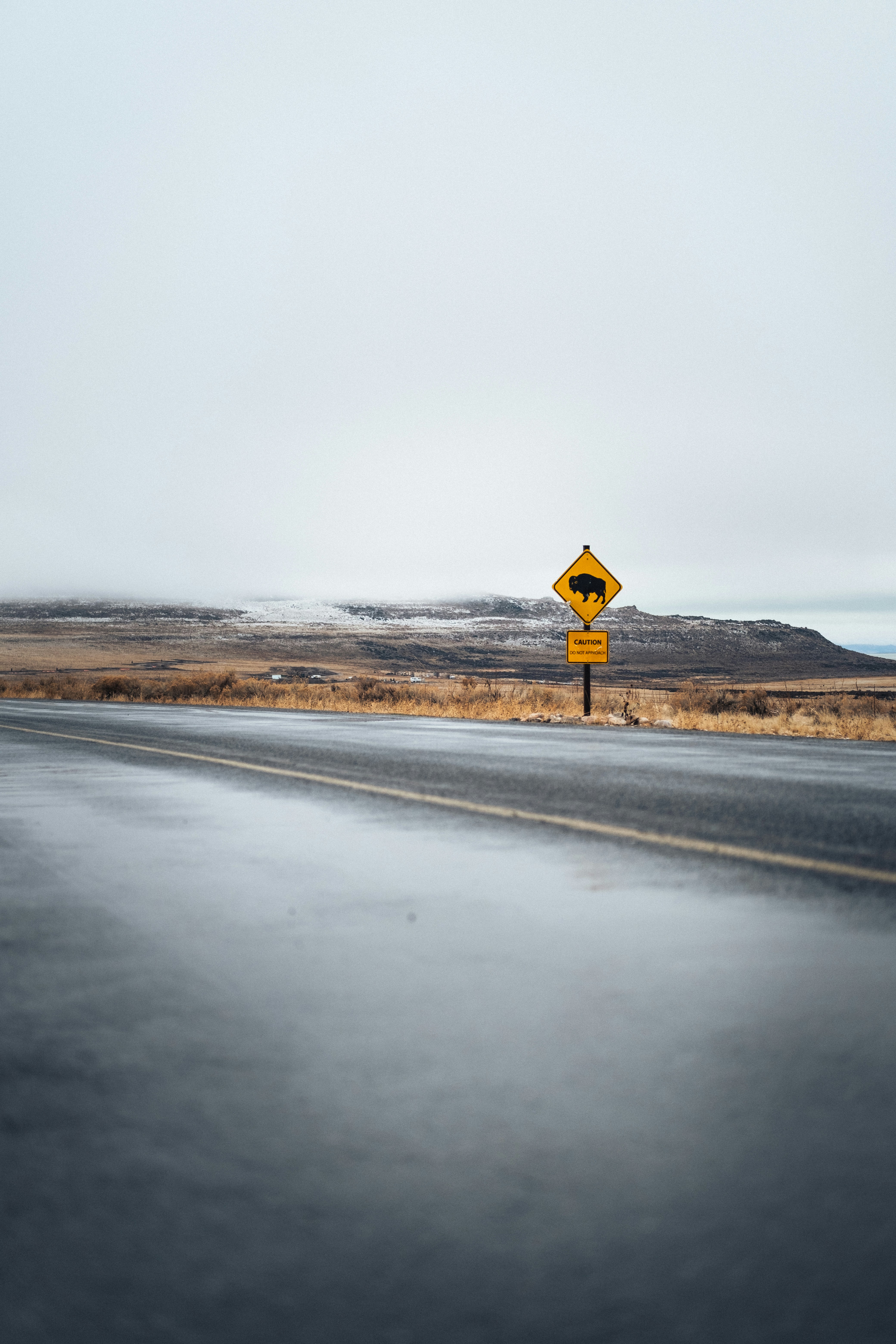 Photo by northernstatemedia