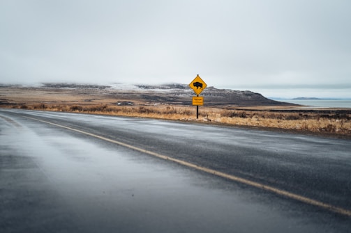 A deserted road stretches into the distance under an overcast sky. On the right side of the road, a caution sign warns of roaming bison. The landscape is barren with dry grass and distant hills, and a body of water is visible in the far background.