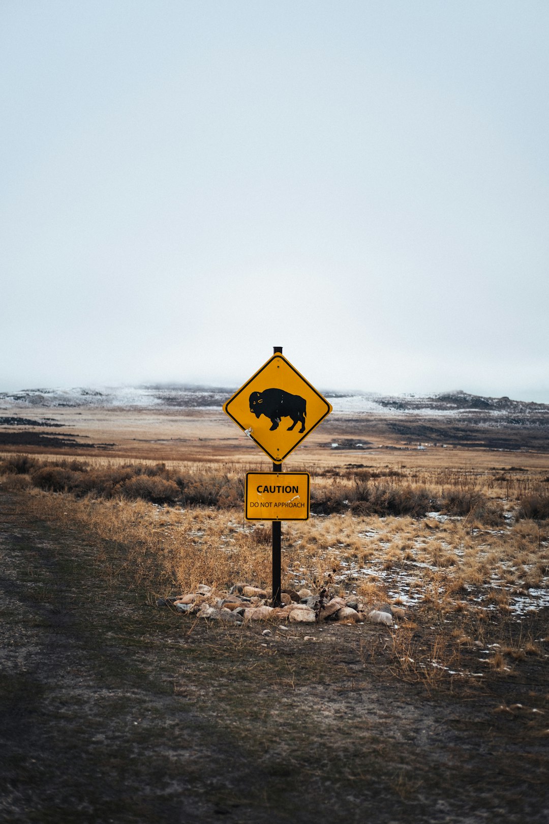 yellow and black road sign