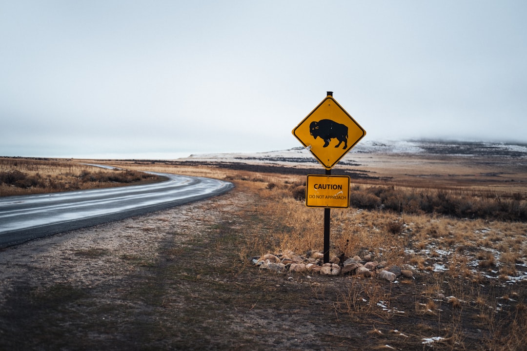 no parking sign on gray asphalt road under white sky during daytime