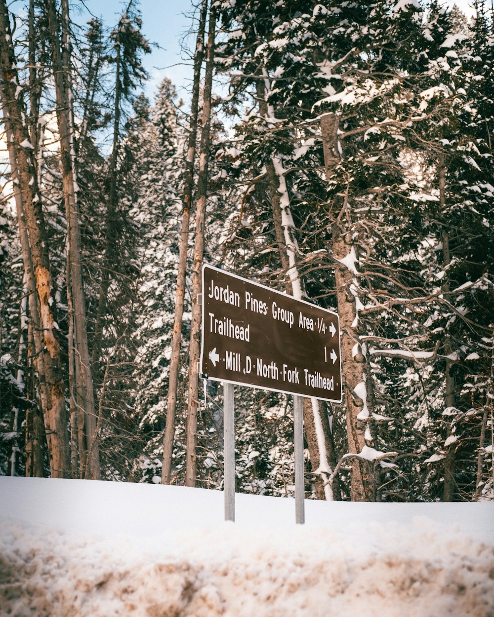 brown and white wooden signage on snow covered ground